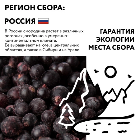 Смородина черная замороженная 10 кг. коробка