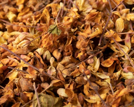 Чашелистики морошки 30 гр