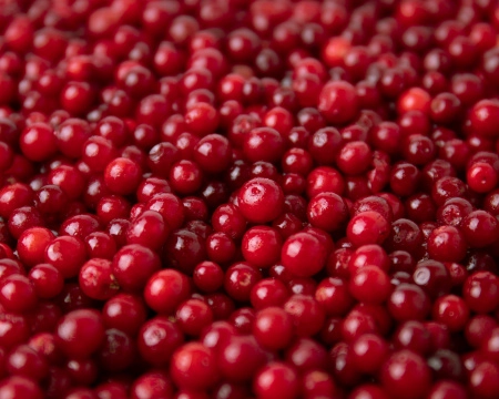 Брусника замороженная 1 кг. п/п пакет