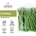 Спаржа зеленая замороженная 1 кг