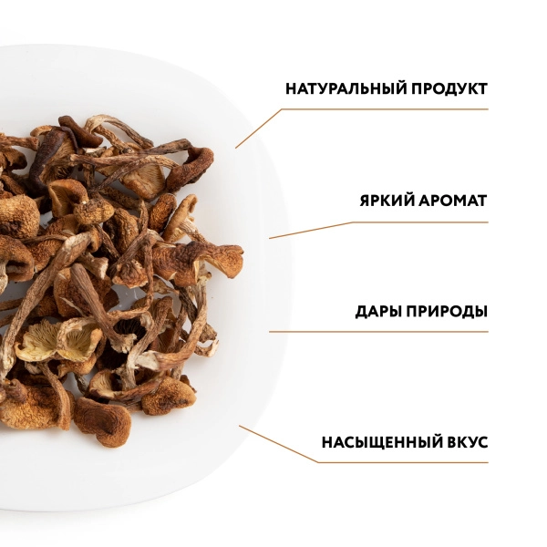 Опята сушеные, 100 грамм