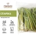 Спаржа зеленая замороженная 1 кг