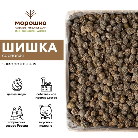 Шишка сосновая замороженная, 1 кг