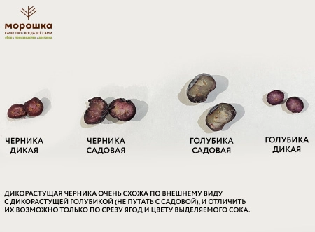 Голубика дикорастущая замороженная 250 гр. в прозрачной коробочке