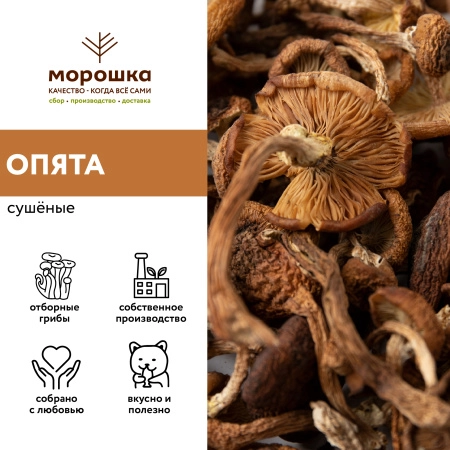Опята сушеные, 100 грамм