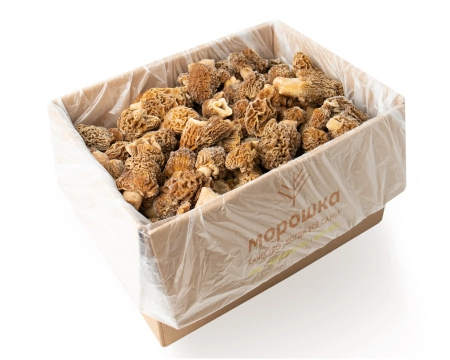 Гриб сморчок 5 кг