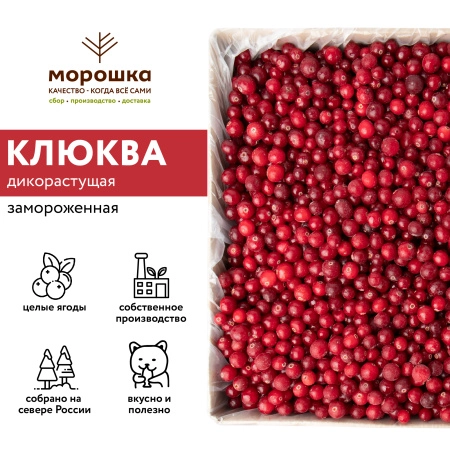 Клюква 250 гр. в прозрачной коробочке