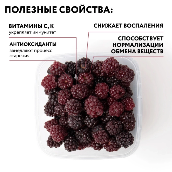 Ежевика замороженная 250 гр. в прозрачной коробочке