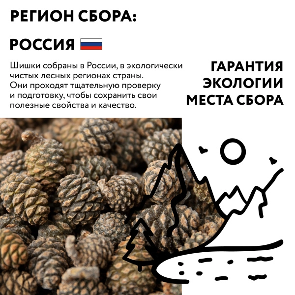 Шишка сосновая замороженная, 250гр.