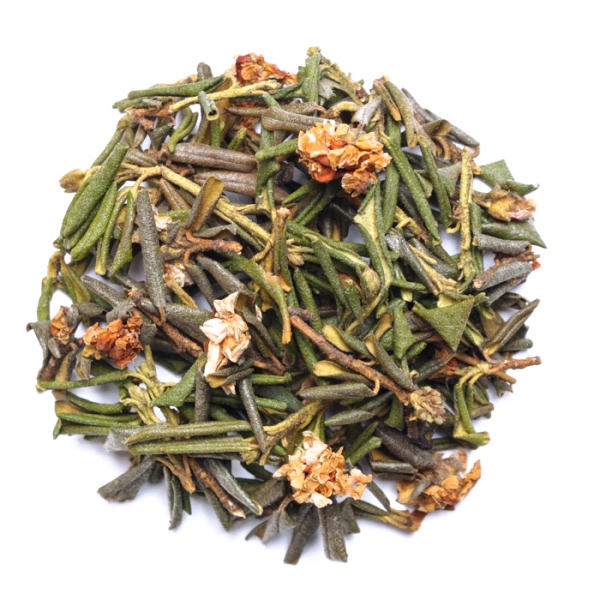 Саган дайля