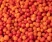 Рябина красная замороженная 1 кг п/п