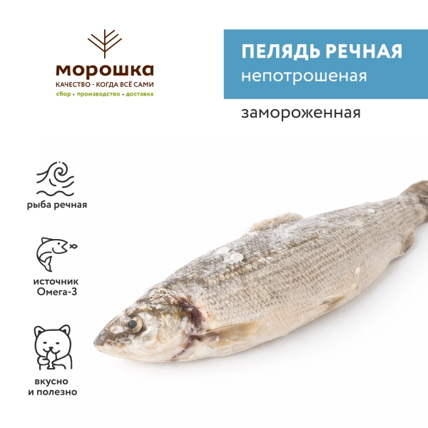 Пелядь замороженная, непотрошеная