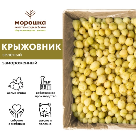 Крыжовник зеленый замороженный, п/п пакет 1 кг Крыжовник зеленый замороженный, п/п пакет 1 кг
