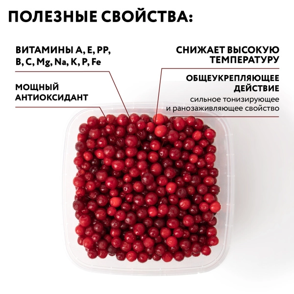 Брусника замороженная 250 гр. в прозрачной коробочке