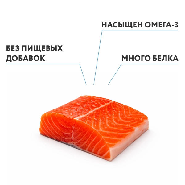 Нерка потрошеная б/г