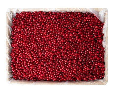 Брусника замороженная 10 кг. коробка