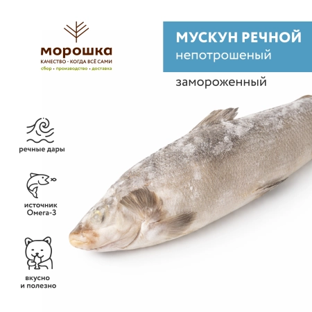 Муксун замороженный, непотрошеный
